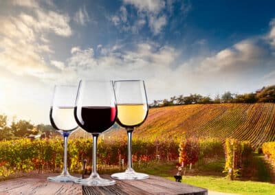 Weinkarte des Gesundabergets Värdshus